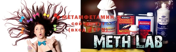 индика Горнозаводск