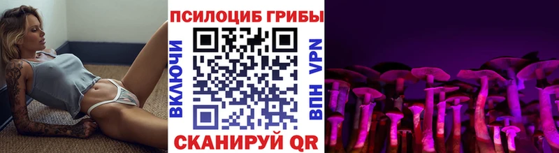 купить наркоту  Торжок  Галлюциногенные грибы MAGIC MUSHROOMS 